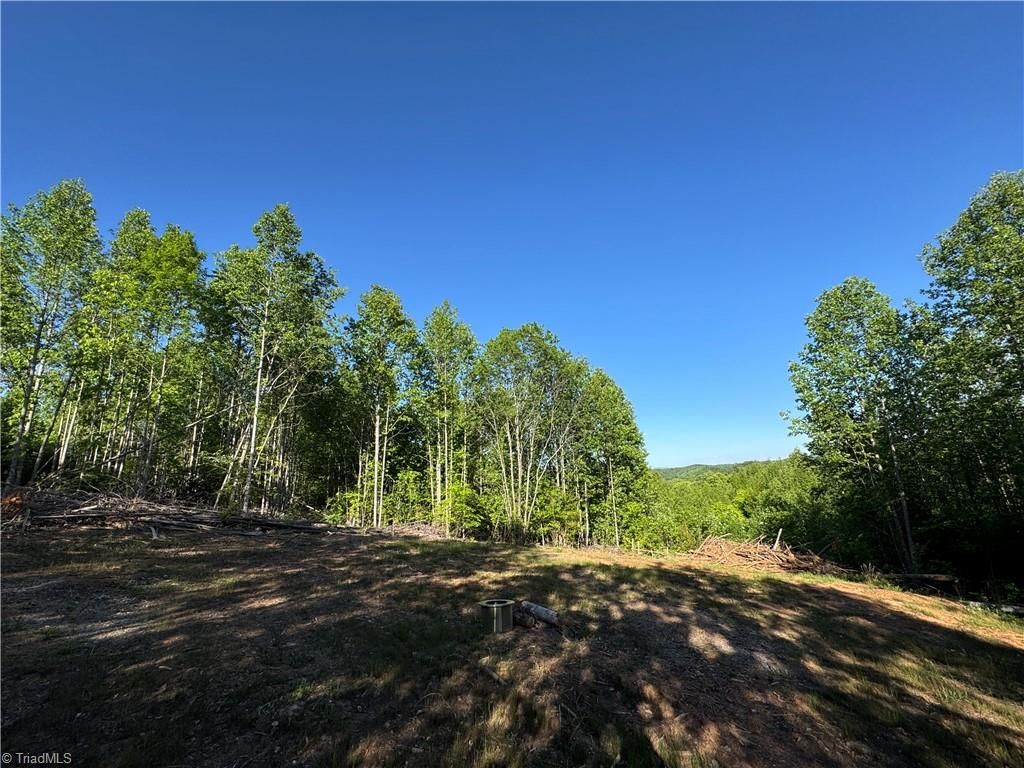 Tract 3 River Rd Liberty Grove Road, North Wilkesboro, NC 28659