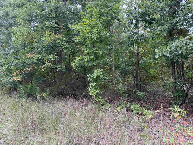 100 Stephens Lane, Imboden, AR 72434