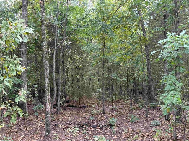 100 Stephens Lane, Imboden, AR 72434