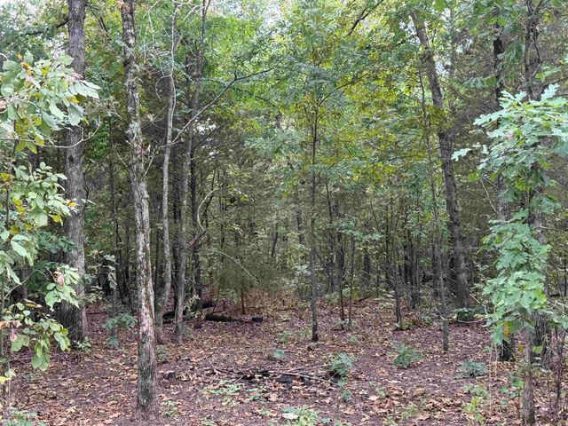 100 Stephens Lane, Imboden, AR 72434