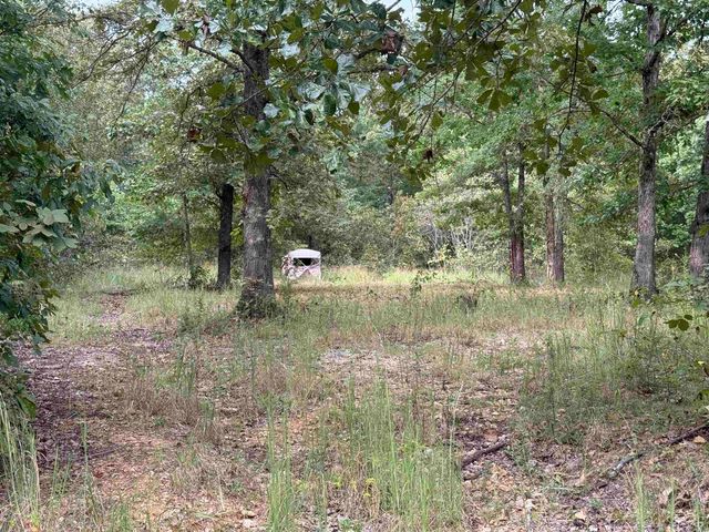 100 Stephens Lane, Imboden, AR 72434