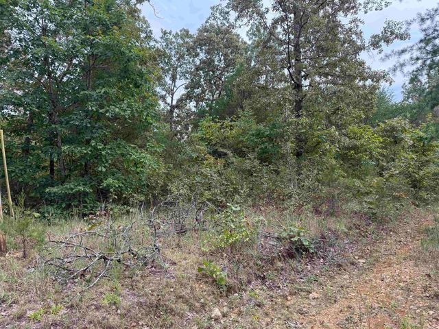 100 Stephens Lane, Imboden, AR 72434