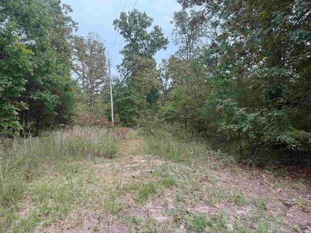 100 Stephens Lane, Imboden, AR 72434