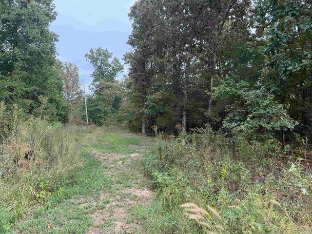 100 Stephens Lane, Imboden, AR 72434