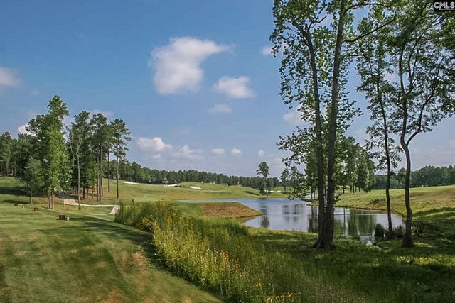 605 Scarlet Baby Drive, Blythewood, SC 29016