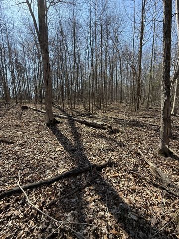 0 Brigham Branch Rd, Erin, TN 37061
