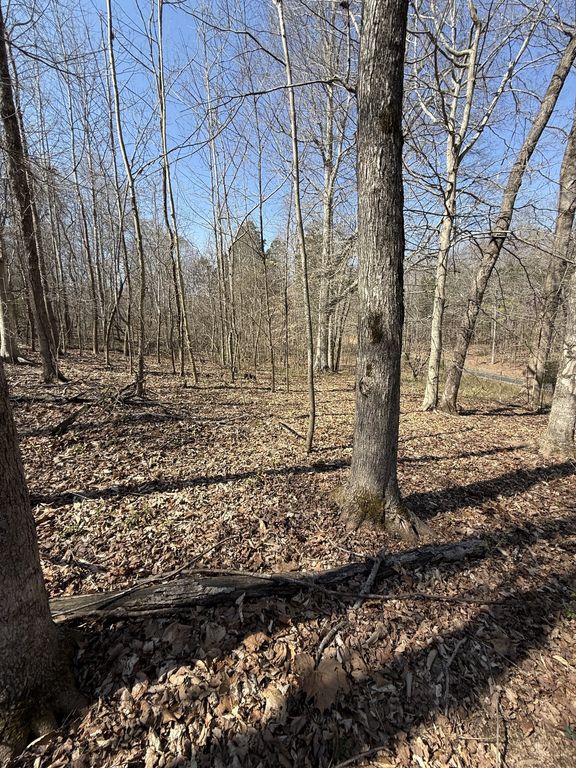 0 Brigham Branch Rd, Erin, TN 37061