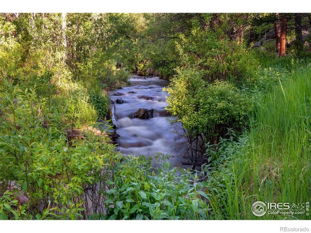 1217 Big Owl Road, Allenspark, CO 80510