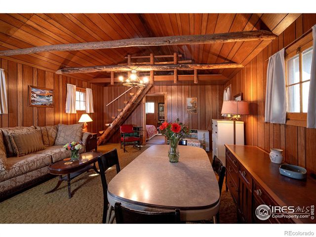 1217 Big Owl Road, Allenspark, CO 80510