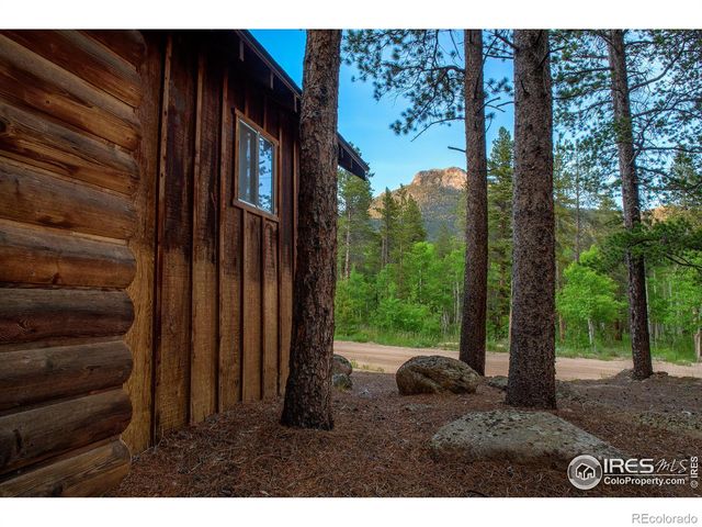 1217 Big Owl Road, Allenspark, CO 80510