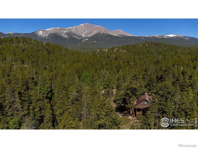 1217 Big Owl Road, Allenspark, CO 80510