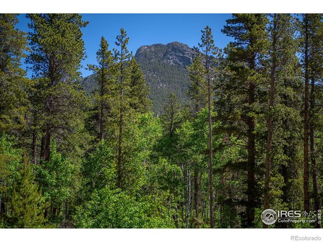 1217 Big Owl Road, Allenspark, CO 80510