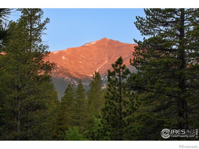 1217 Big Owl Road, Allenspark, CO 80510