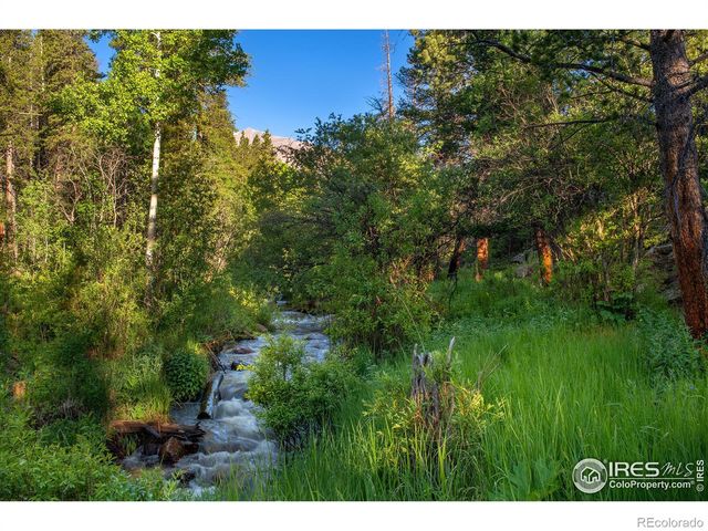 1217 Big Owl Road, Allenspark, CO 80510