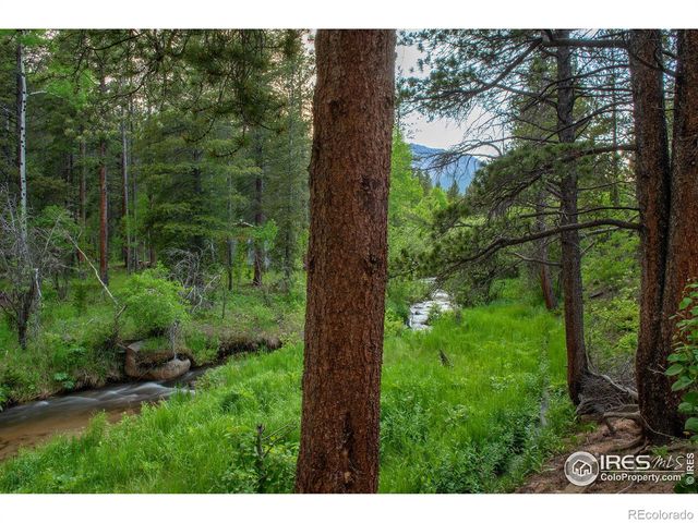 1217 Big Owl Road, Allenspark, CO 80510