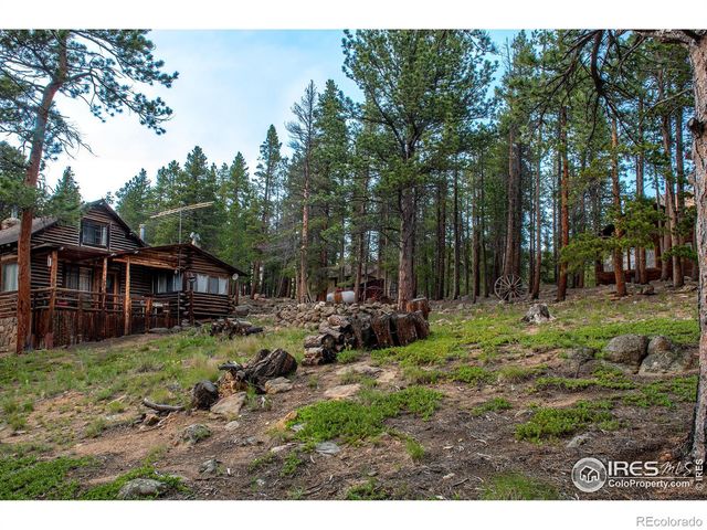 1217 Big Owl Road, Allenspark, CO 80510