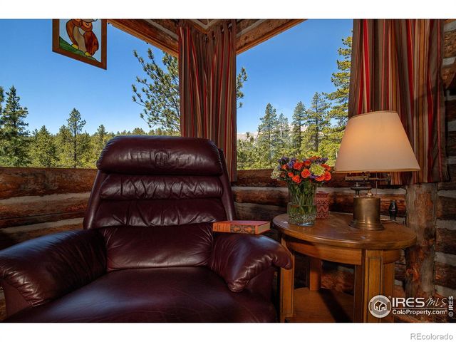 1217 Big Owl Road, Allenspark, CO 80510