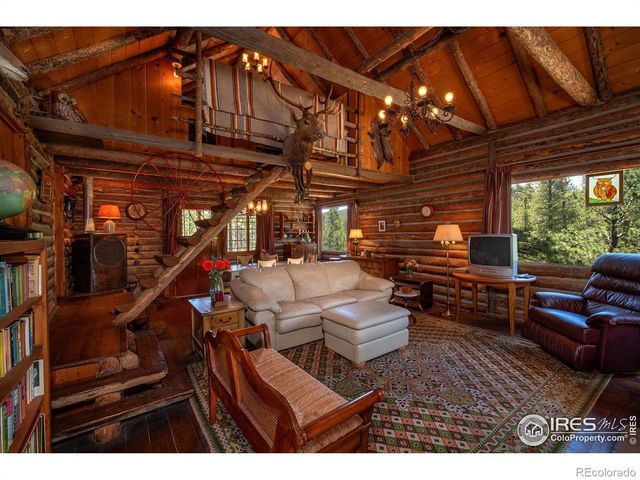 1217 Big Owl Road, Allenspark, CO 80510