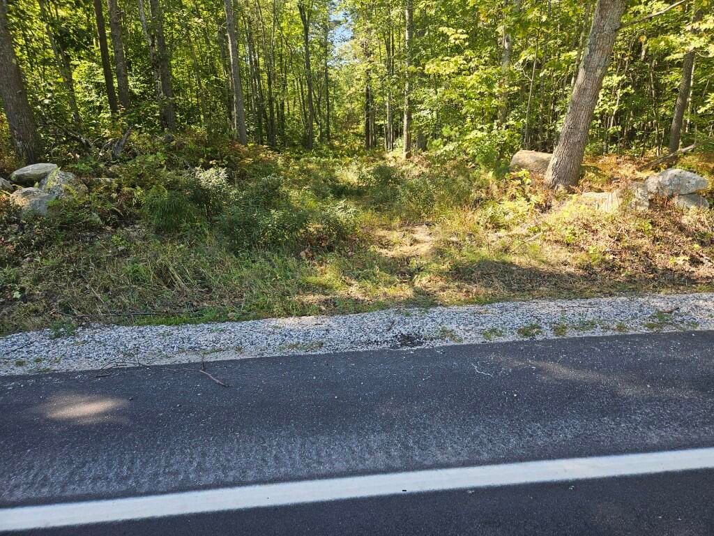 Lot 9G Pequawket Trail, Standish, ME 04084 — photo 2