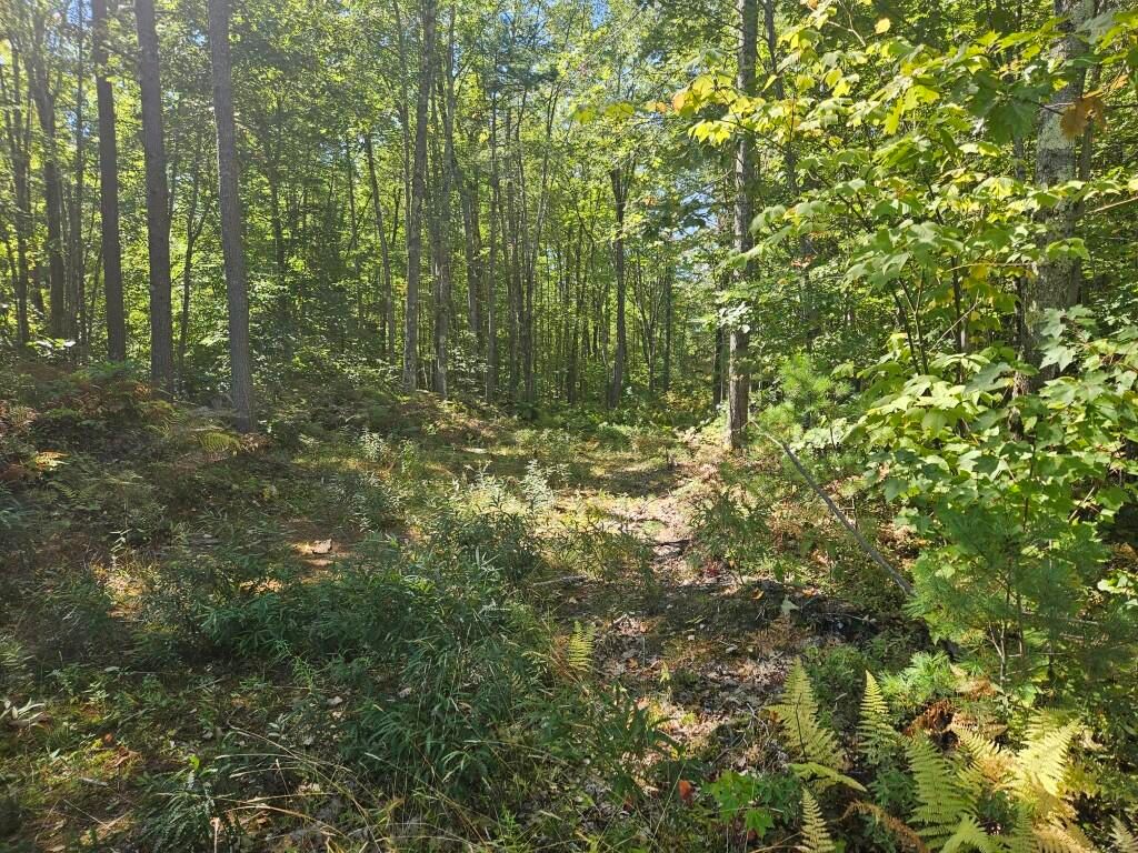 Lot 9G Pequawket Trail, Standish, ME 04084 — photo 3