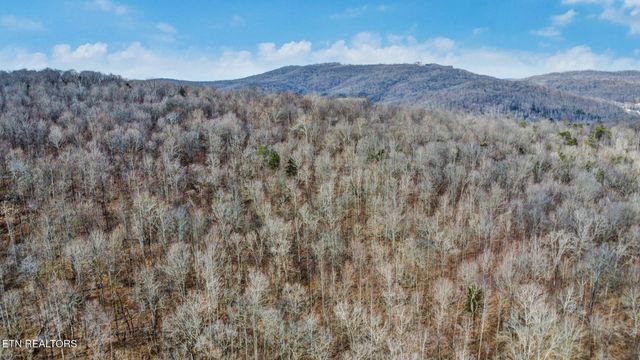 0 Shellotte Loop, Pall Mall, TN 38577