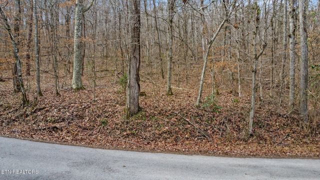 0 Shellotte Loop, Pall Mall, TN 38577