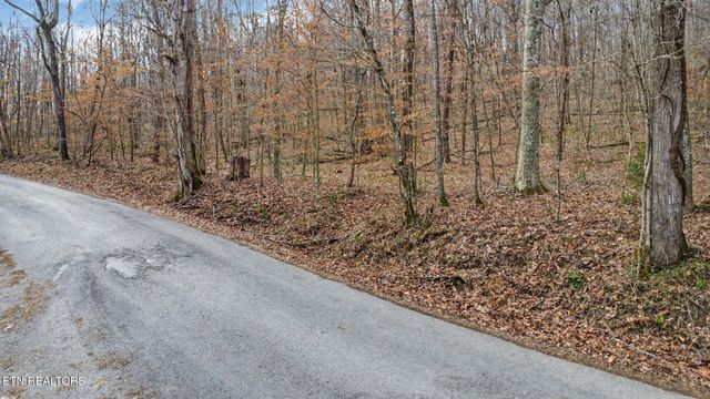 0 Shellotte Loop, Pall Mall, TN 38577
