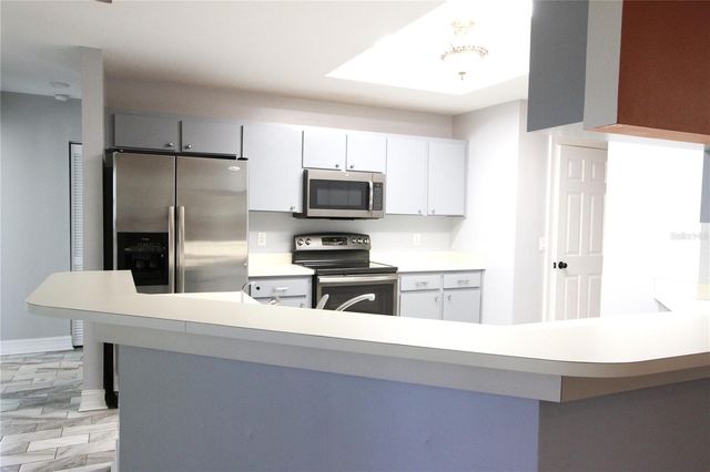 1414 NORWICK DRIVE, Lutz, FL 33559