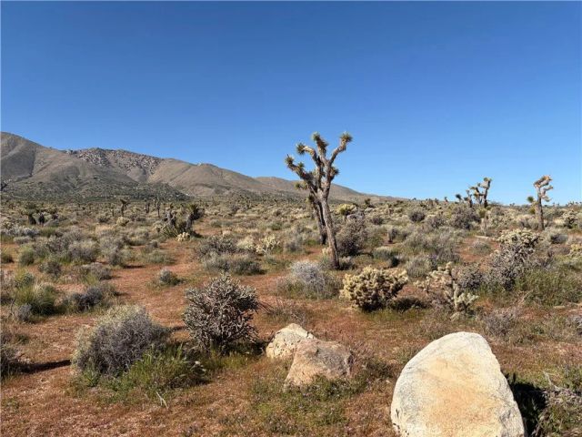 0 willow wells ave, Lucerne Valley, CA 92356