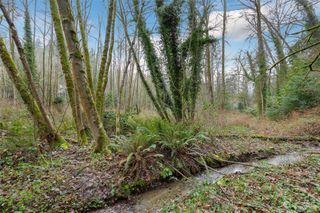 16 XXX 76th Place NE, Kenmore, WA 98028