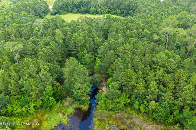 1441 Blue Meadow Road, Bay Saint Louis, MS 39520