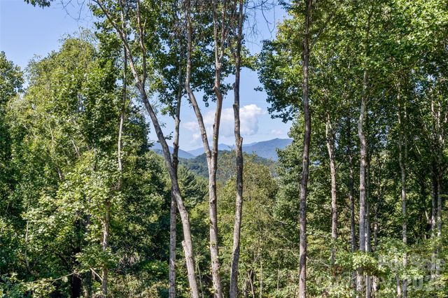 340 Matthew Lane, Canton, NC 28716