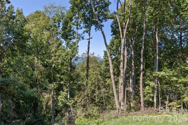 340 Matthew Lane, Canton, NC 28716