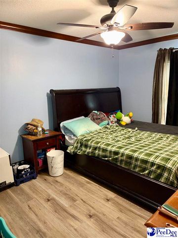 144 Neely Matthews Rd, Coward, SC 29530