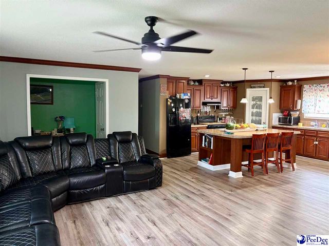 144 Neely Matthews Rd, Coward, SC 29530
