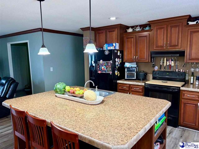144 Neely Matthews Rd, Coward, SC 29530