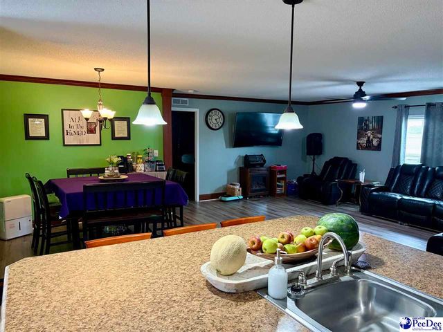 144 Neely Matthews Rd, Coward, SC 29530