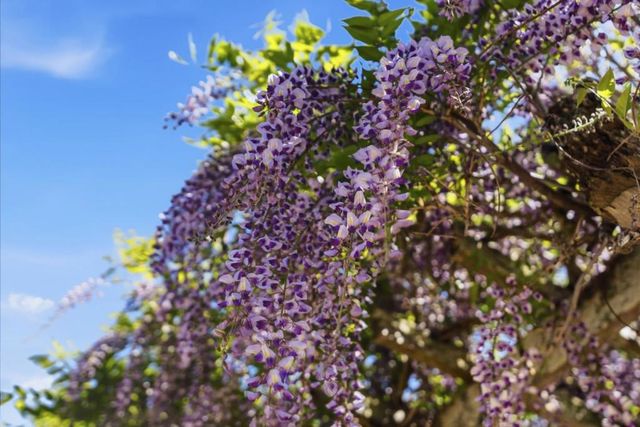 1925 46th Avenue 127, Capitola, CA 95010