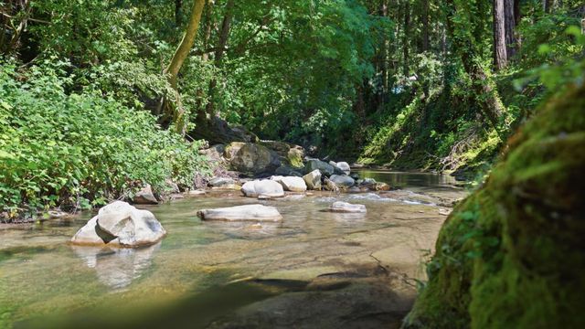 9415 E Zayante Road, Felton, CA 95018
