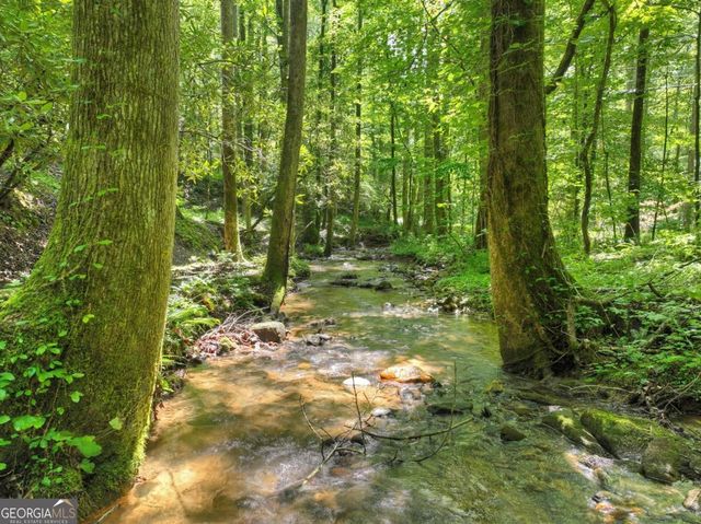 1048 Laurel Trail, Ellijay, GA 30536