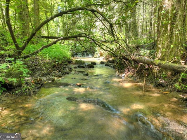 1048 Laurel Trail, Ellijay, GA 30536