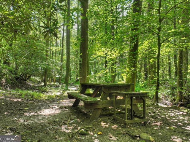 1048 Laurel Trail, Ellijay, GA 30536