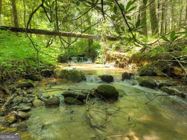 1048 Laurel Trail, Ellijay, GA 30536