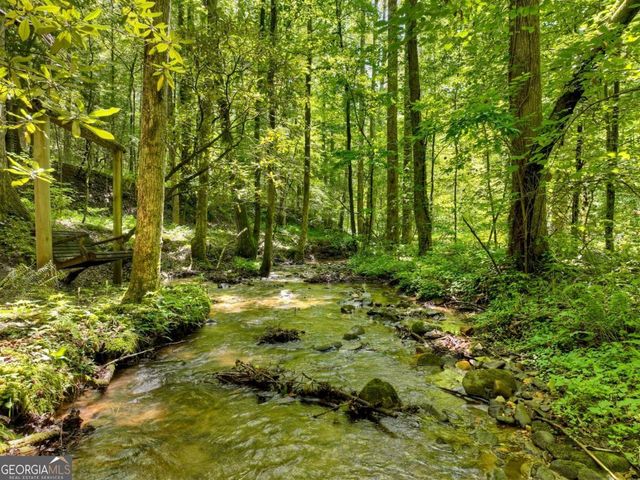 1048 Laurel Trail, Ellijay, GA 30536