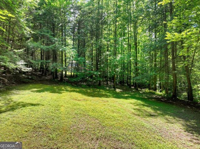 1048 Laurel Trail, Ellijay, GA 30536