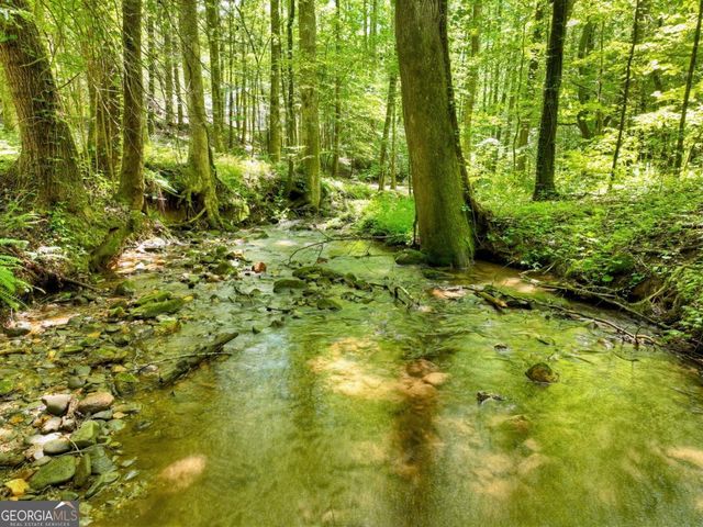 1048 Laurel Trail, Ellijay, GA 30536