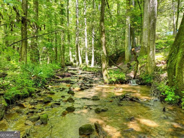 1048 Laurel Trail, Ellijay, GA 30536