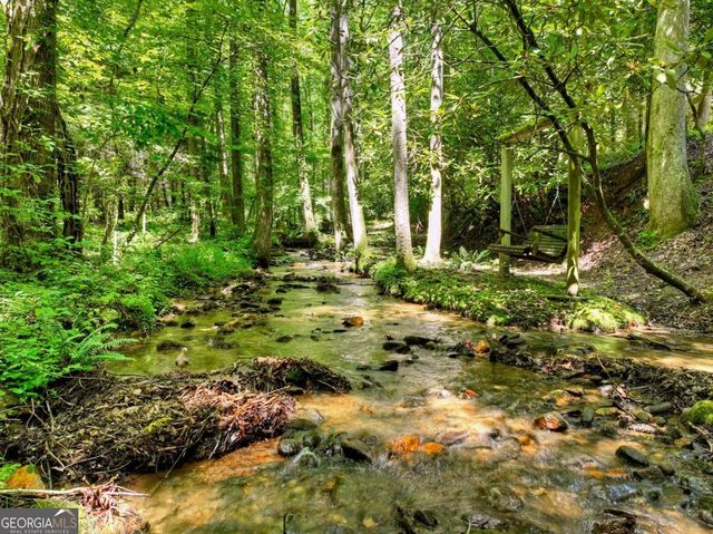 1048 Laurel Trail, Ellijay, GA 30536