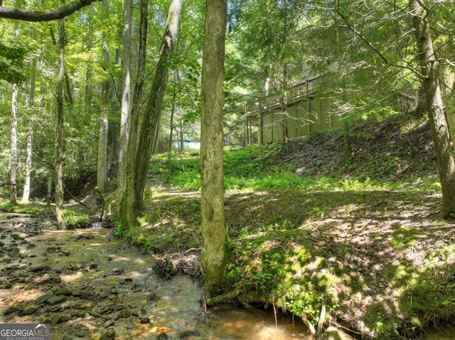 1048 Laurel Trail, Ellijay, GA 30536
