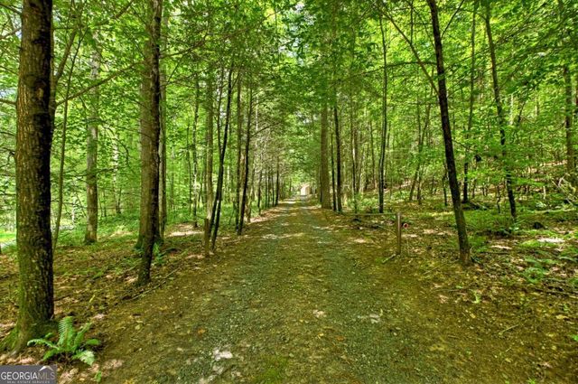 1048 Laurel Trail, Ellijay, GA 30536